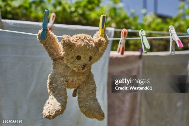 teddy bear hanging on a clothesline - old stuffed toy stock pictures, royalty-free photos & images