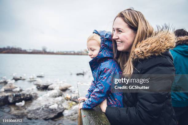 mother and son enjoying feeding the ducks near the lake - toronto winter stock pictures, royalty-free photos & images