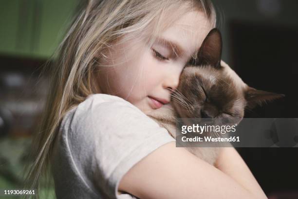 little girl cuddling with her burma cat - girls cuddling cat stock-fotos und bilder
