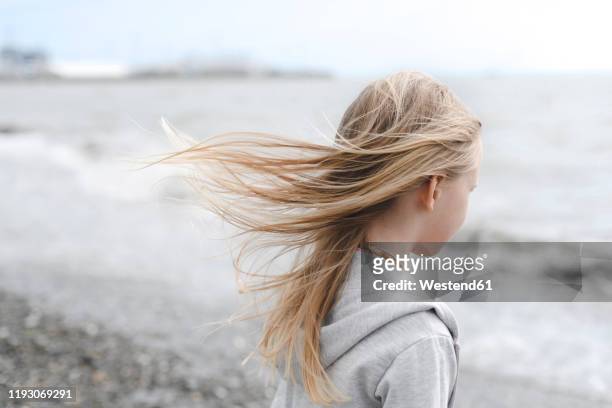 girl with blowing hair at the seafront - hair blowing stockfoto's en -beelden