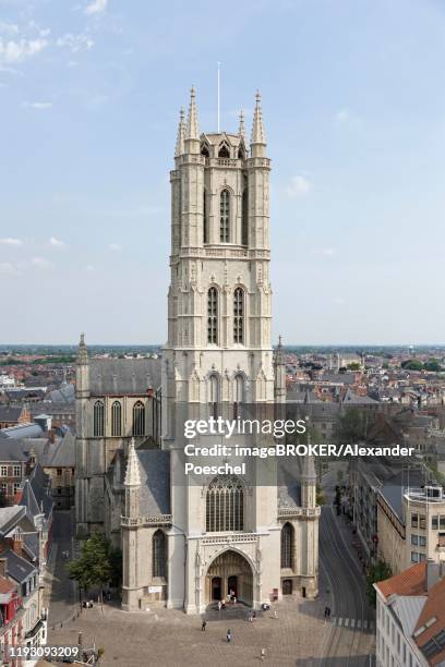 view from the tower belfort to saint bavo cathedral, binnenstad, ghent, flanders, belgium - binnenstad stock-fotos und bilder