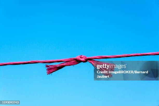 43 Red Knot Rope Stock Photos, High-Res Pictures, and Images - Getty Images
