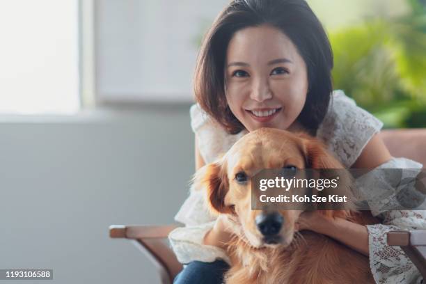 schöne kurze haare korean frau und ihr haustier hund golden retriever - pet insurance stock-fotos und bilder