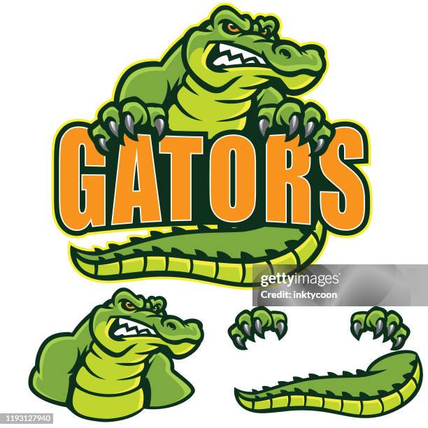 ilustraciones, imágenes clip art, dibujos animados e iconos de stock de signo de gators - alligator