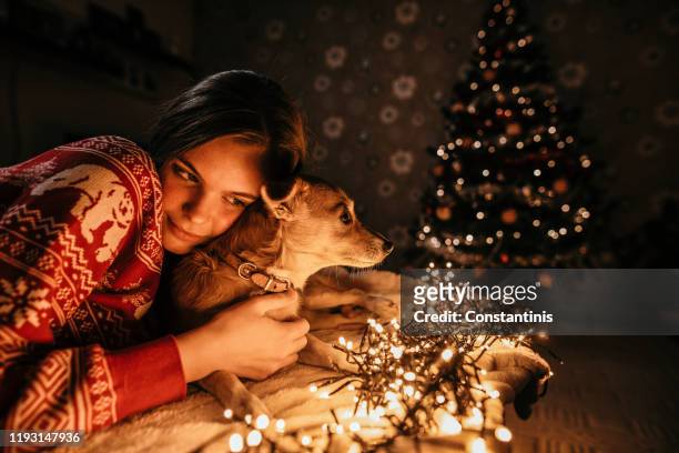 junge frau neben dem weihnachtsbaum und umarmt ihren hund an einem silvesterabend - new years eve 2019 stock-fotos und bilder