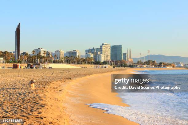 a beach at sunrise in barcelona, spain - barcelona beach stock pictures, royalty-free photos & images