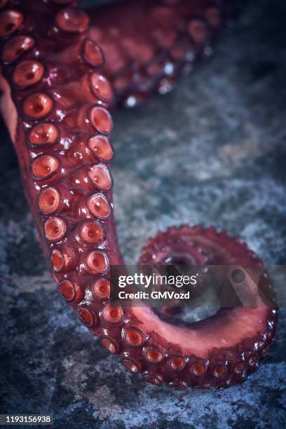 octopus tentacles with sea salt and fresh lemon - tentacle stock pictures, royalty-free photos & images
