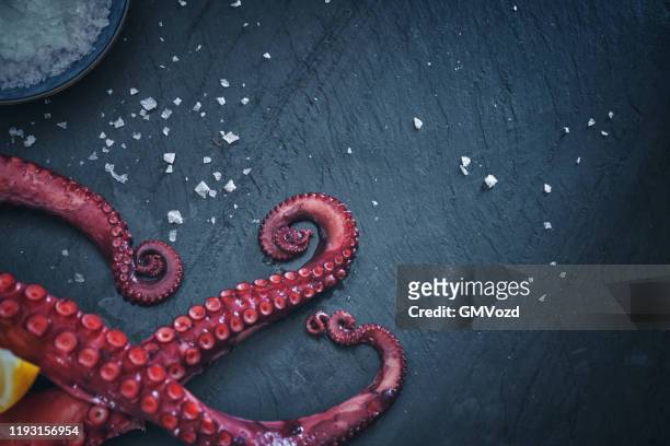 octopus tentacles with sea salt and fresh lemon - salt seasoning stock pictures, royalty-free photos & images