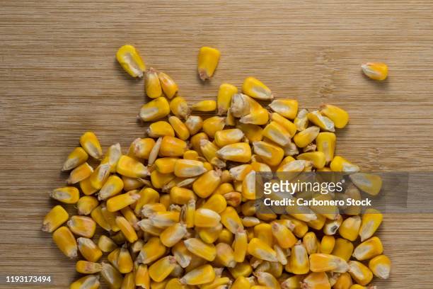 very natural photograph of corn kernels - corn kernel imagens e fotografias de stock