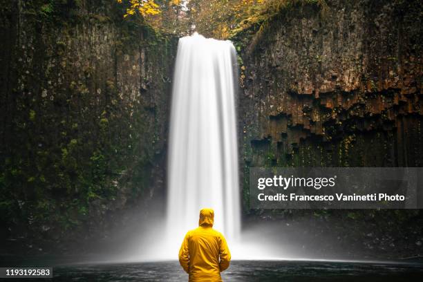 man at abiqua falls, scotts mills, or, us. - willamette national forest stock pictures, royalty-free photos & images