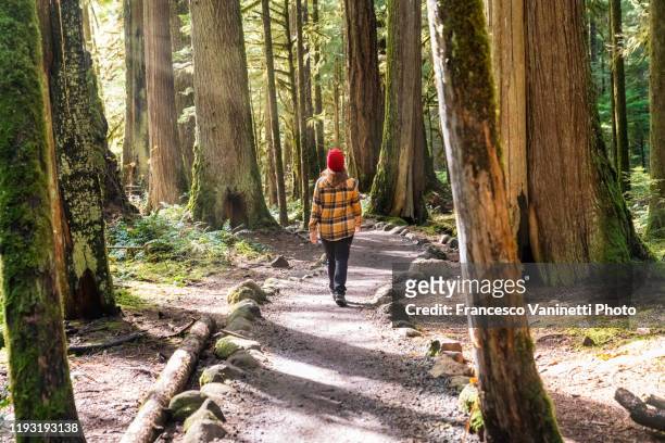 woman walking on the trail to tamolitch falls - blue pools, linn county, or, us. - tall women stock pictures, royalty-free photos & images