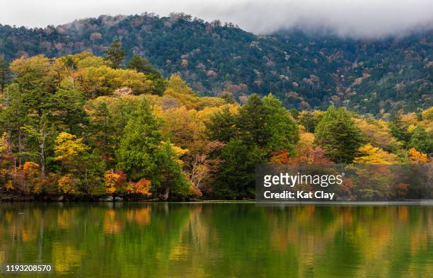 fall leaves at lake yunoko, nikko national park, japan - nikko stock-fotos und bilder