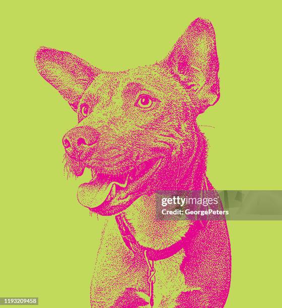 105点のボーダーコリーイラスト素材 Getty Images 105点のボーダーコリーイラスト素材 Getty Images
