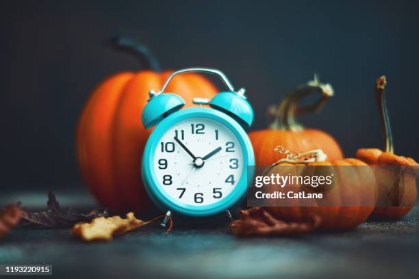 time for fall. teal alarm clock with leaves and pumpkins - food photography dark background blue imagens e fotografias de stock