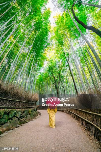 woman wearing japanese traditional kimono at bamboo forest in kyoto, japan. - bamboo grove stock pictures, royalty-free photos & images
