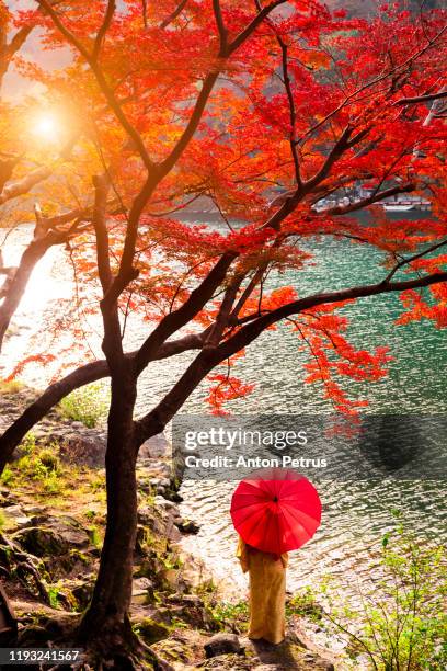 woman wearing japanese traditional kimono at arashiyama in autumn along the river in kyoto, japan. - katsura stock pictures, royalty-free photos & images