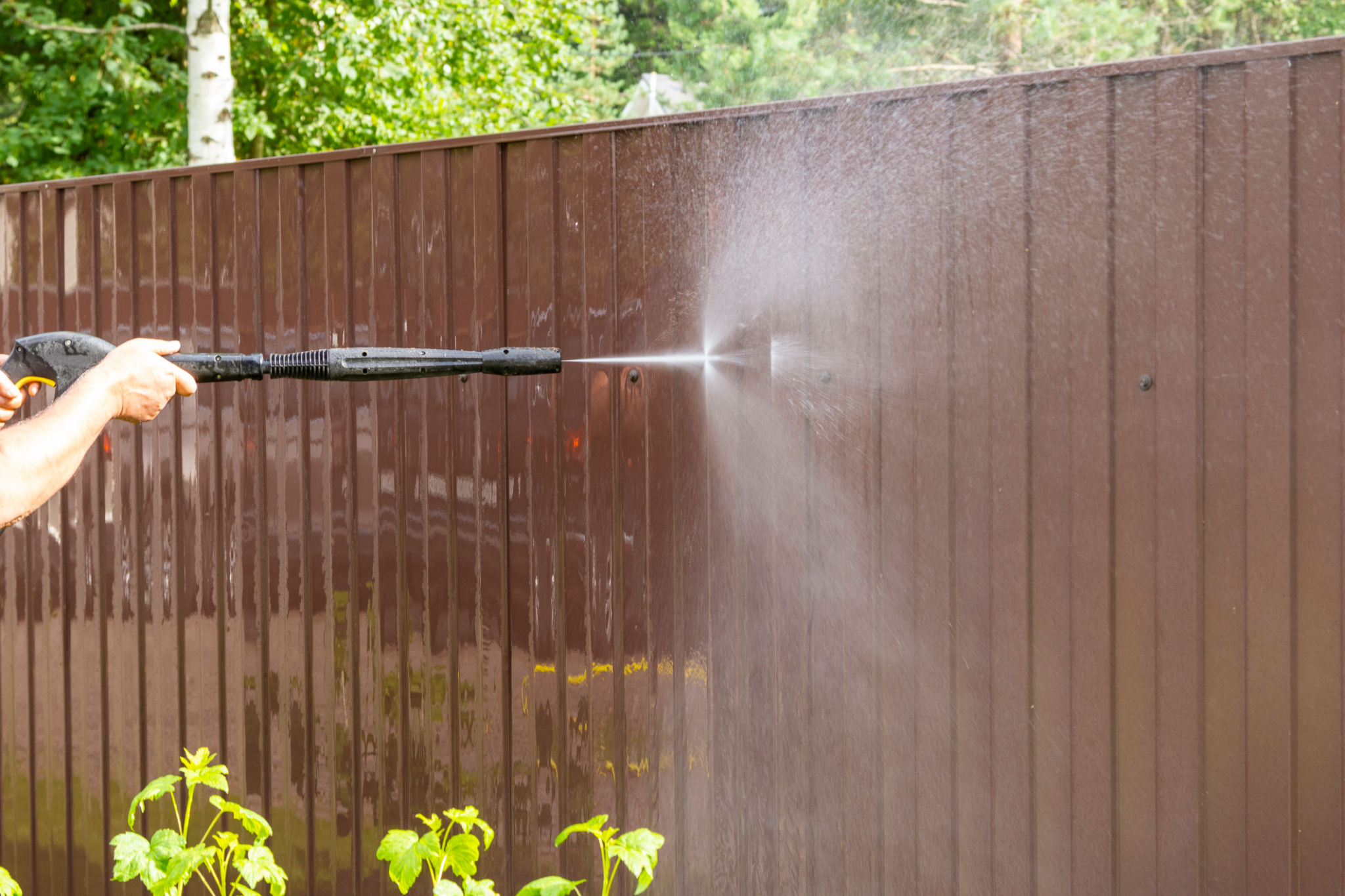 professional fence cleaning
