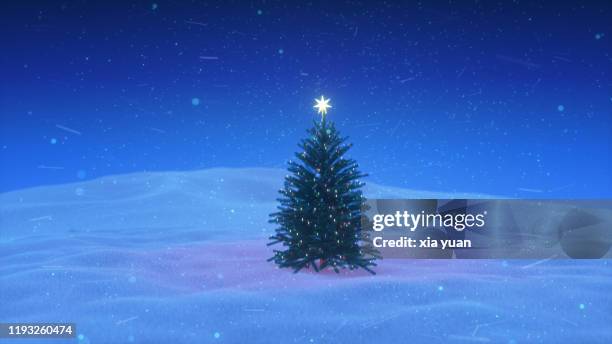 illuminated christmas tree on the snow at night - deep snow stockfoto's en -beelden