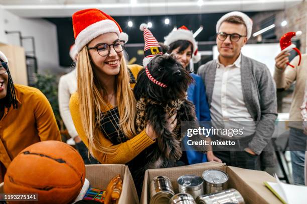 group of volunteers with fluffy dog - giving tuesday stock pictures, royalty-free photos & images