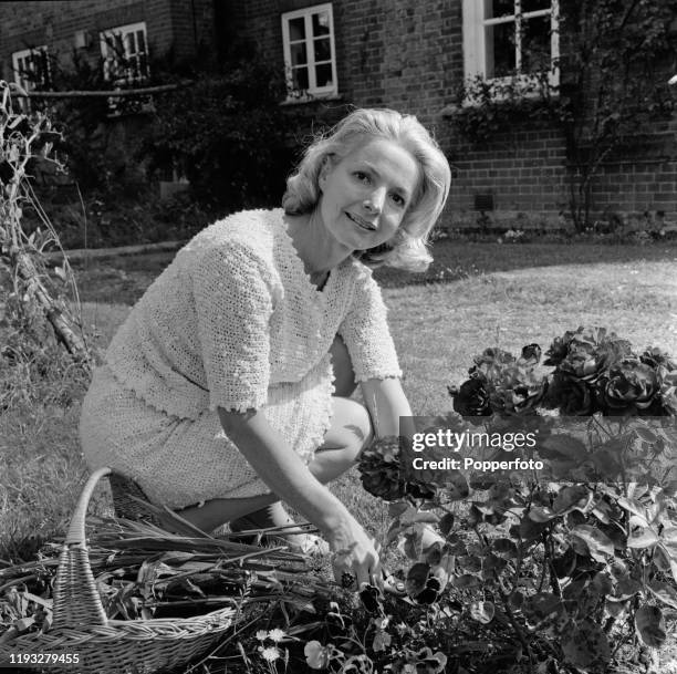 Scottish actress Elizabeth Sellars prunes flowers in the garden of her house in Buckinghamshire, England in August 1967. Elizabeth Sellars plays the...