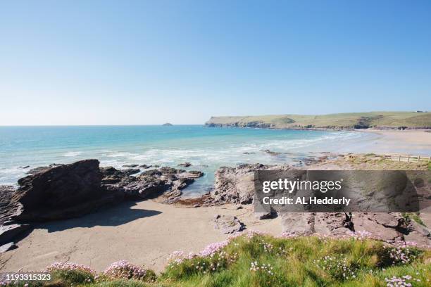coastline near polzeath beach in may - mei lei stockfoto's en -beelden