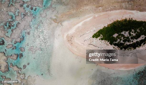 An aerial view as vegetation regrows on an islet where trees were obliterated by a past storm in the Funafuti atoll on November 26, 2019 in Funafuti,...