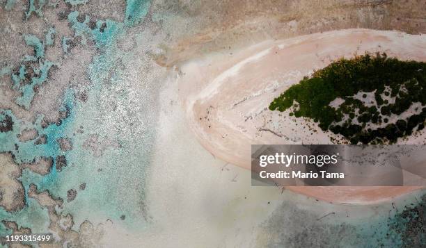 An aerial view as vegetation regrows on an islet where trees were obliterated by a past storm in the Funafuti atoll on November 26, 2019 in Funafuti,...