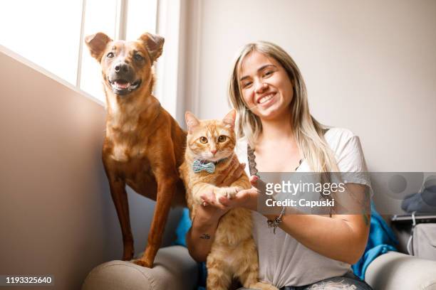 pet family portrait - cat woman stock pictures, royalty-free photos & images