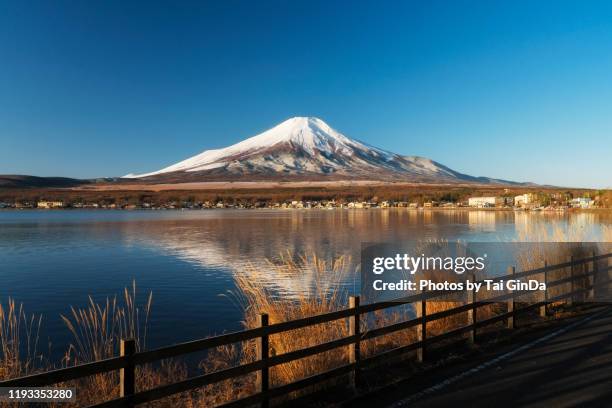 63 Volcano Slug Stock Photos, High-Res Pictures, and Images - Getty Images