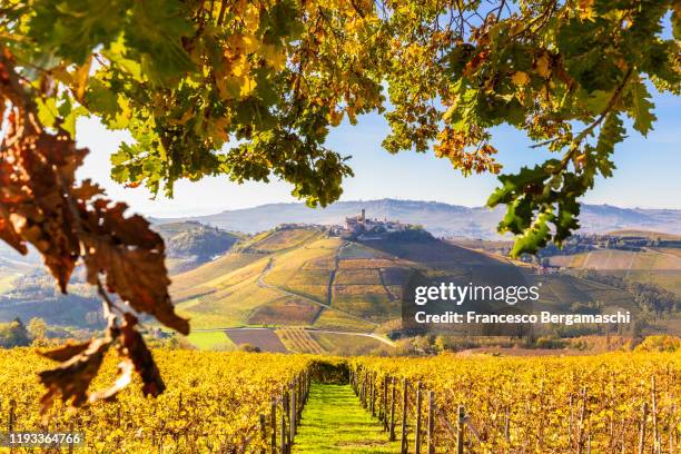 village of castiglione falletto between autumn colors. - alba bildbanksfoton och bilder