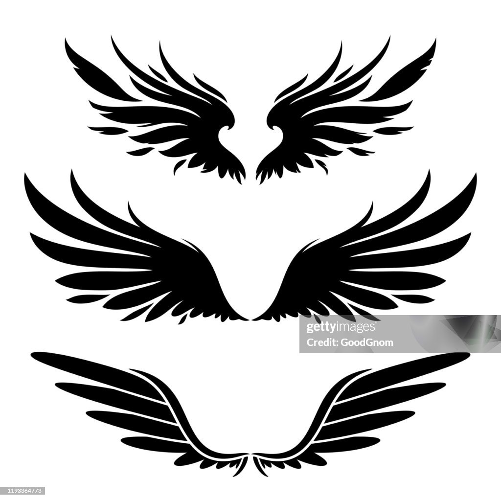 Ali silhouette elementi di design