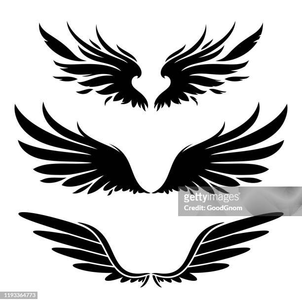 ilustrações de stock, clip art, desenhos animados e ícones de wings silhouette design elements - corvo pássaro