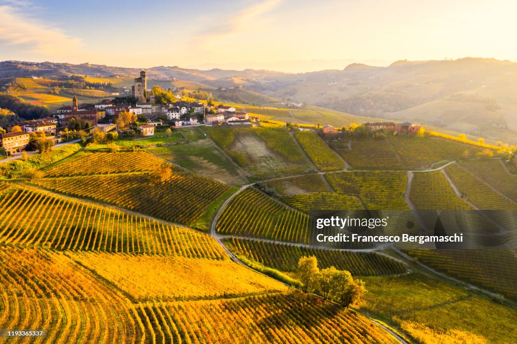 Aerial view of Serralunga d'Alba village in autumn. Barolo wine region, Langhe, Piedmont, Italy, Europe.