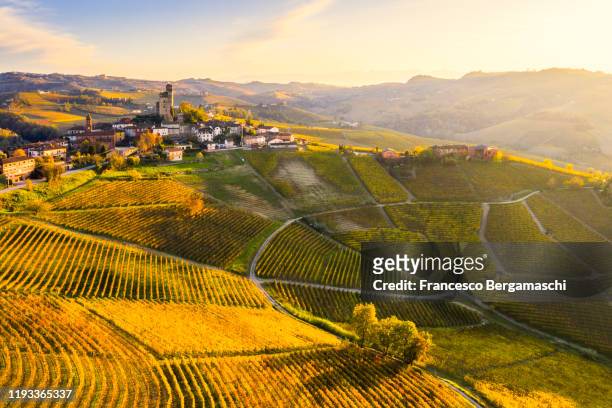 aerial view of serralunga d'alba village in autumn. barolo wine region, langhe, piedmont, italy, europe. - village foto e immagini stock