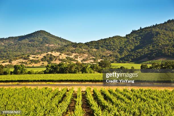 napa valley california wijngaard en wijnmakerij - napa californië stockfoto's en -beelden