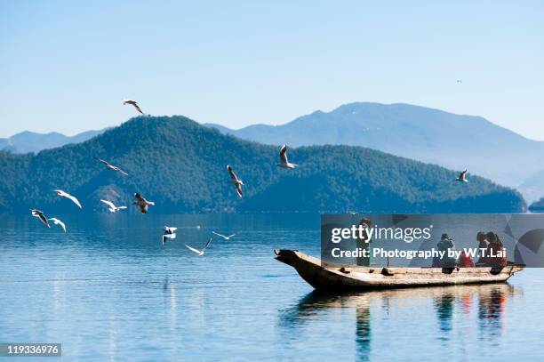 lugu lake - my lai sit stock pictures, royalty-free photos & images