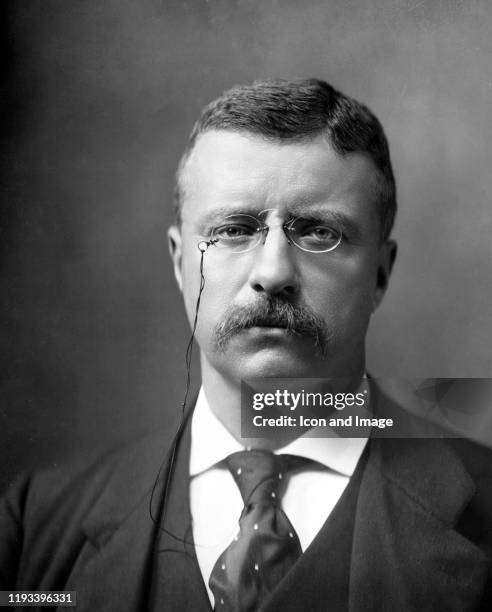 American statesman, politician, conservationist, naturalist, and writer who served as the 26th president of the United States, Theodore Roosevelt,...