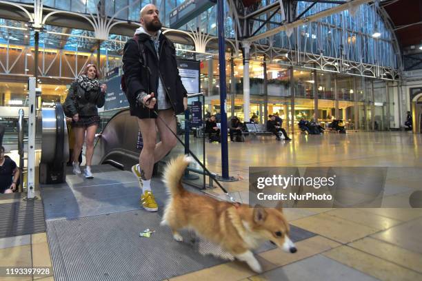 People ride the London Underground without trousers as they attend the 11th No Trousers Tube Ride on January 12, 2020 in London, England. Originating...