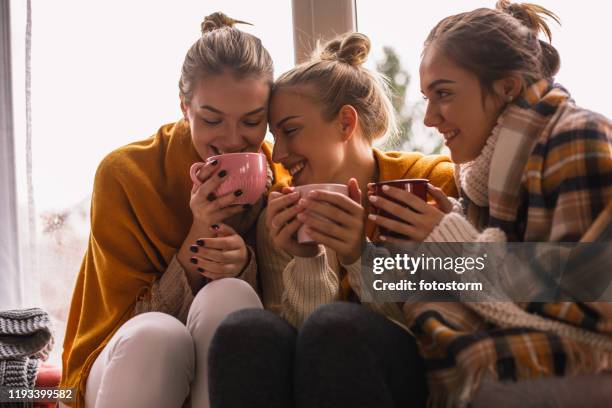 close-up of happy close female friends sharing cozy time - la casa imagens e fotografias de stock