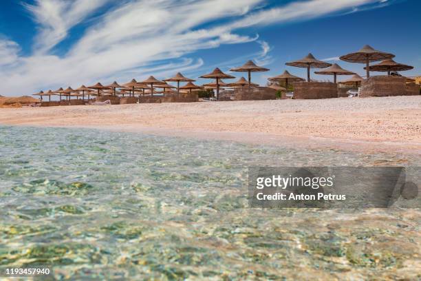 sunset on the sandy beach. red sea, egypt - hurghada stock pictures, royalty-free photos & images