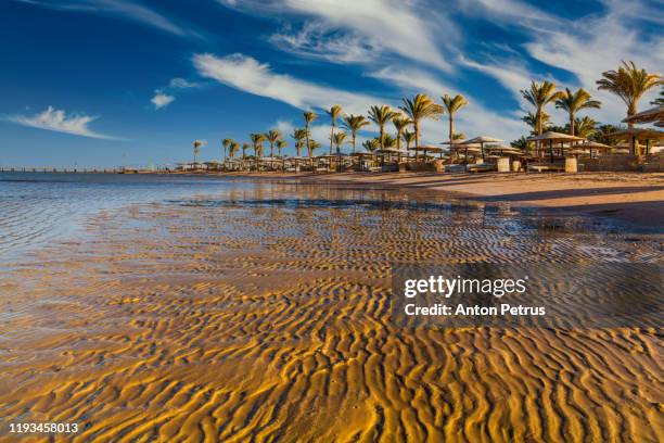 sunset on the sandy beach. red sea, egypt - egypt sharm el sheikh stockfoto's en -beelden