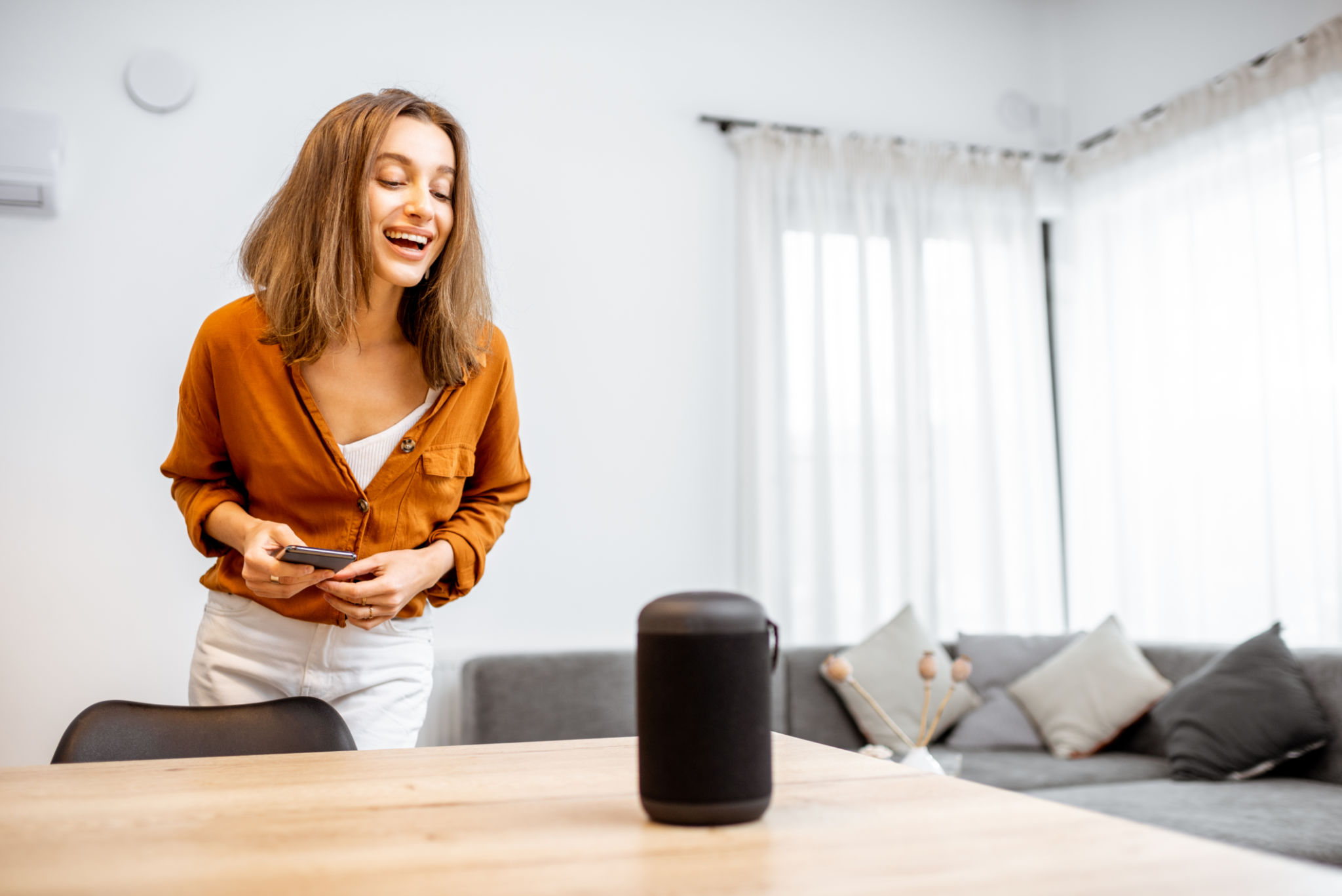 smart home assistant