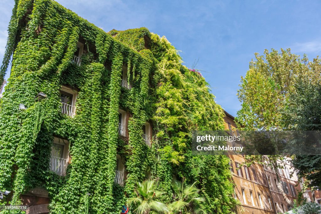 Low angle view of overgrown building facades in Rome against blue sky.