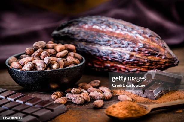 chocolate bar, cocoa powder, cocoa beans and cocoa pod - cacao fruit stock pictures, royalty-free photos & images