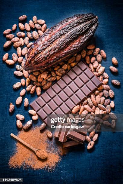 chocolate bar, cocoa powder, cocoa beans and cocoa pod - seed head stock pictures, royalty-free photos & images