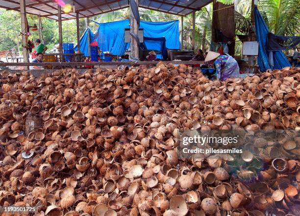 cascada de coco, delta del mekong, vietnam del sur - coco rallado fotografías e imágenes de stock