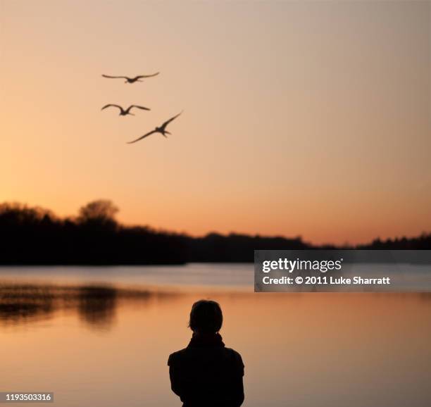 silhouette of girl staring out at horizon - rivier gras oever stockfoto's en -beelden