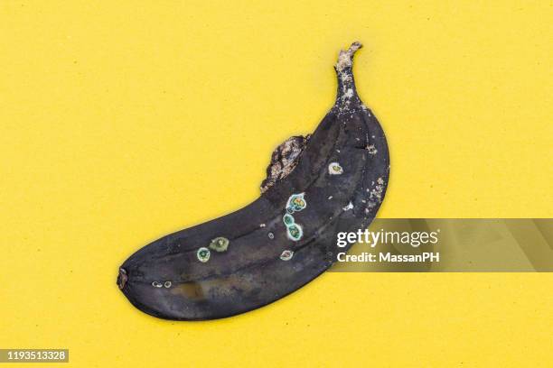 molded flattened banana on yellow background - marcio foto e immagini stock