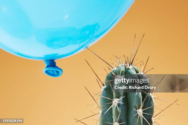 a balloon flying too close to cactus - scherp stockfoto's en -beelden