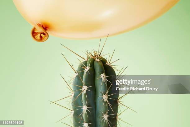 a balloon flying too close to cactus - grit stock-fotos und bilder